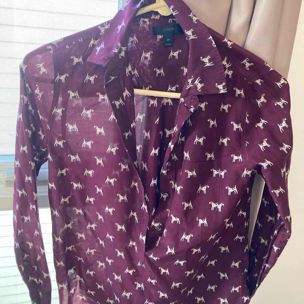 •3 for $20• JCrew Terrier Collared Shirt